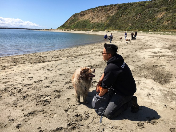 26625444184_27a2a6f897_h